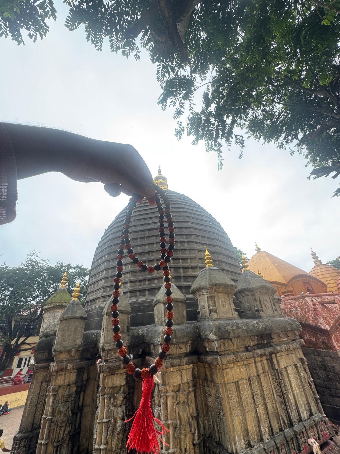 Energize  Karungali-Rudhraksh Combined Mala (8mm)